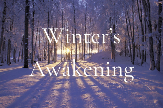 Winter’s Awakening